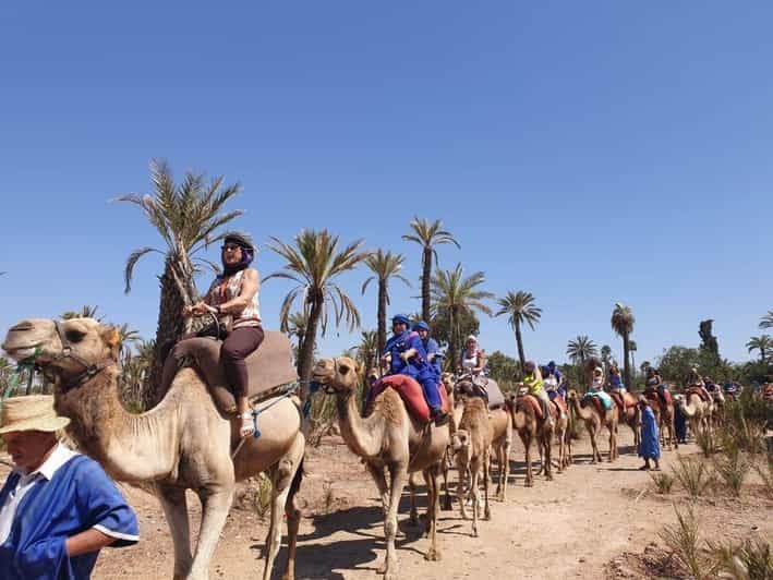 Camel ride tour in Agadir