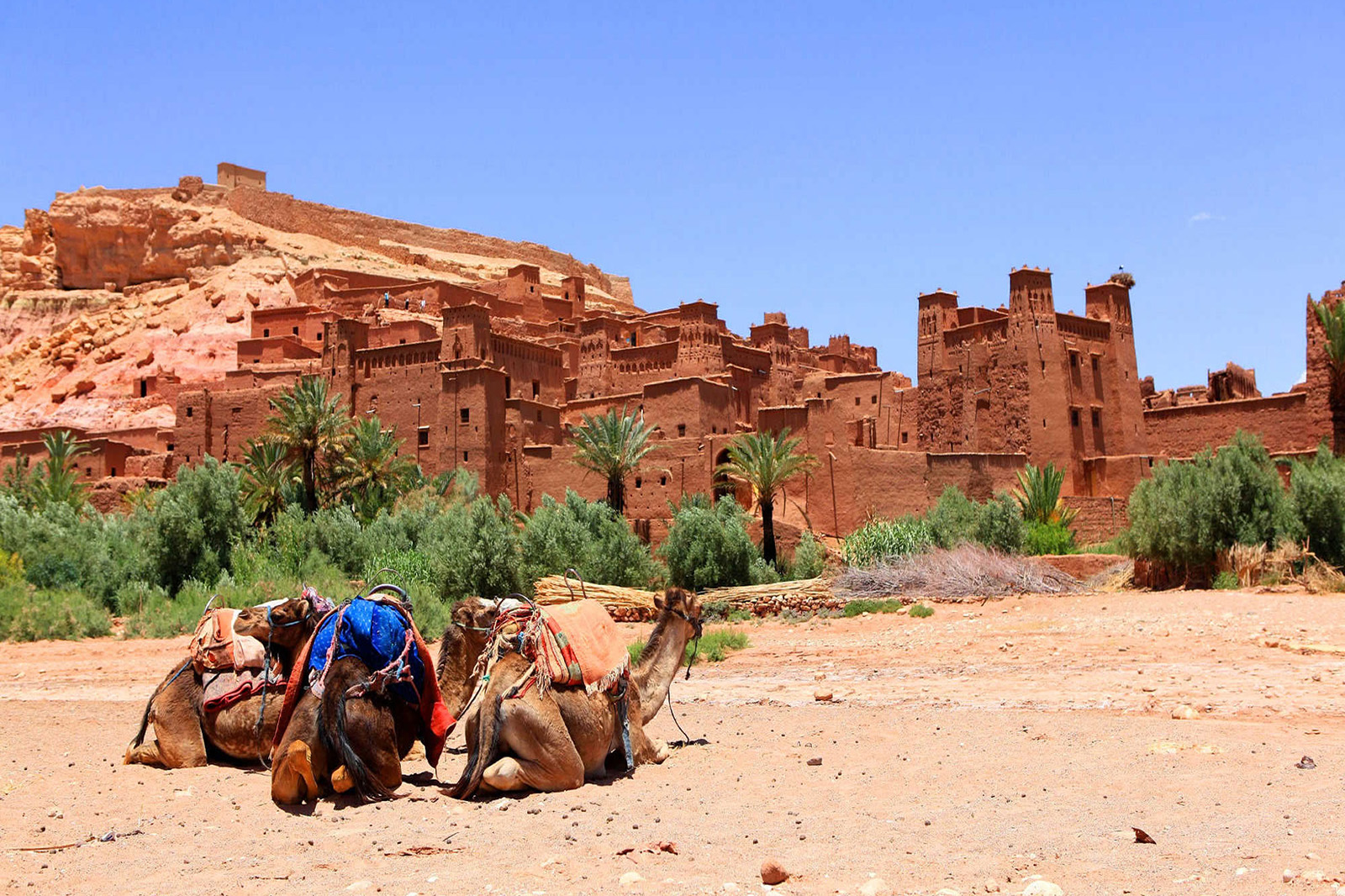 Day trip to Ouarzazate & Ait Ben Haddou
