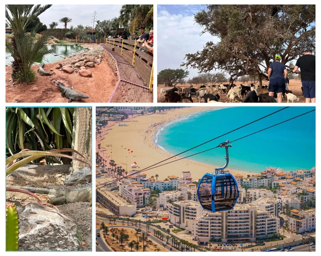 Cable Car, Crocopark, and Goats on Trees Tour