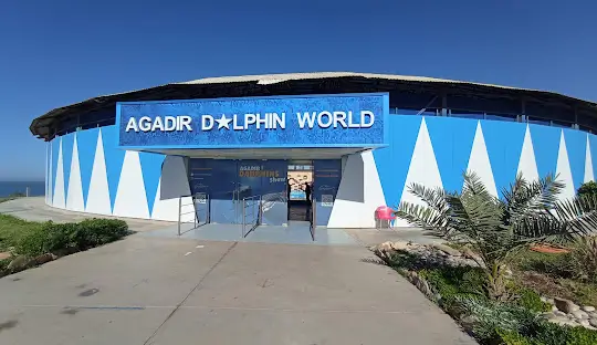 Dolphin World tour from Agadir