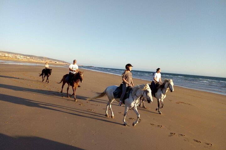 Horse ride in Agadir