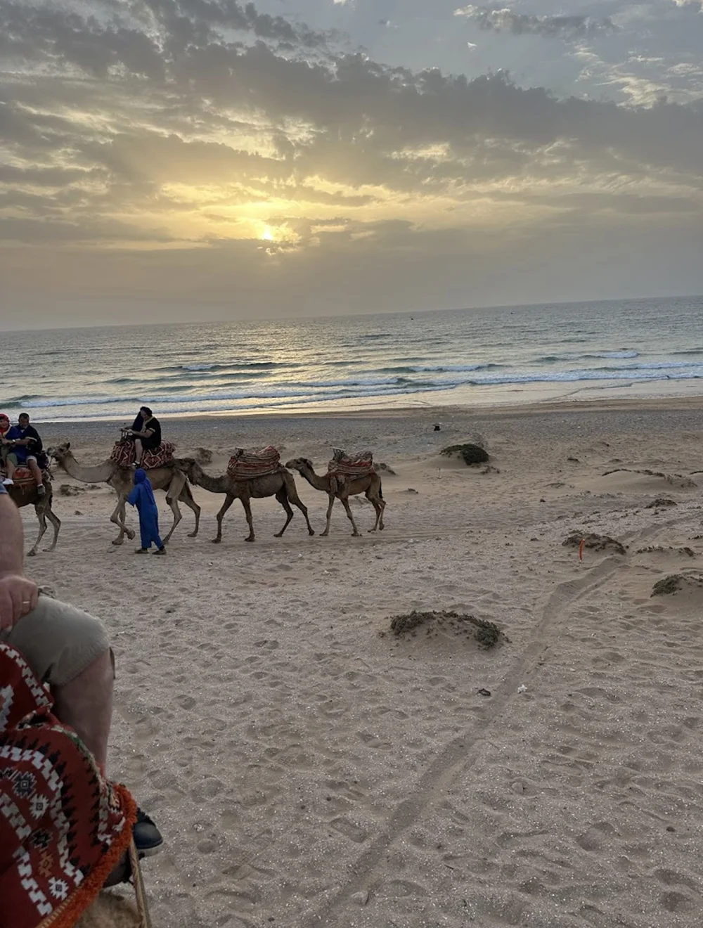 Sunset Camel Ride & BBQ in Tamri