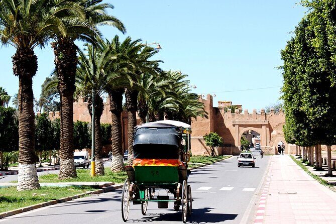 Taroudant & Tiout trip from Agadir